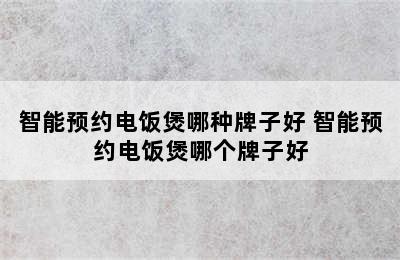 智能预约电饭煲哪种牌子好 智能预约电饭煲哪个牌子好